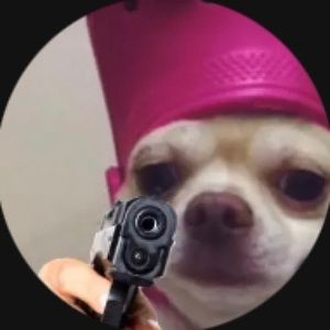 Meet your Posher, Ty